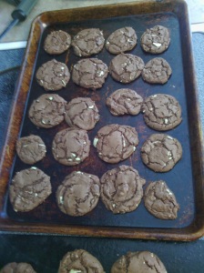 andesmintcookies2